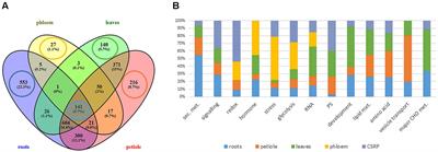 Phloem Sap Proteins Are Part of a Core Stress Responsive Proteome Involved in Drought Stress Adjustment